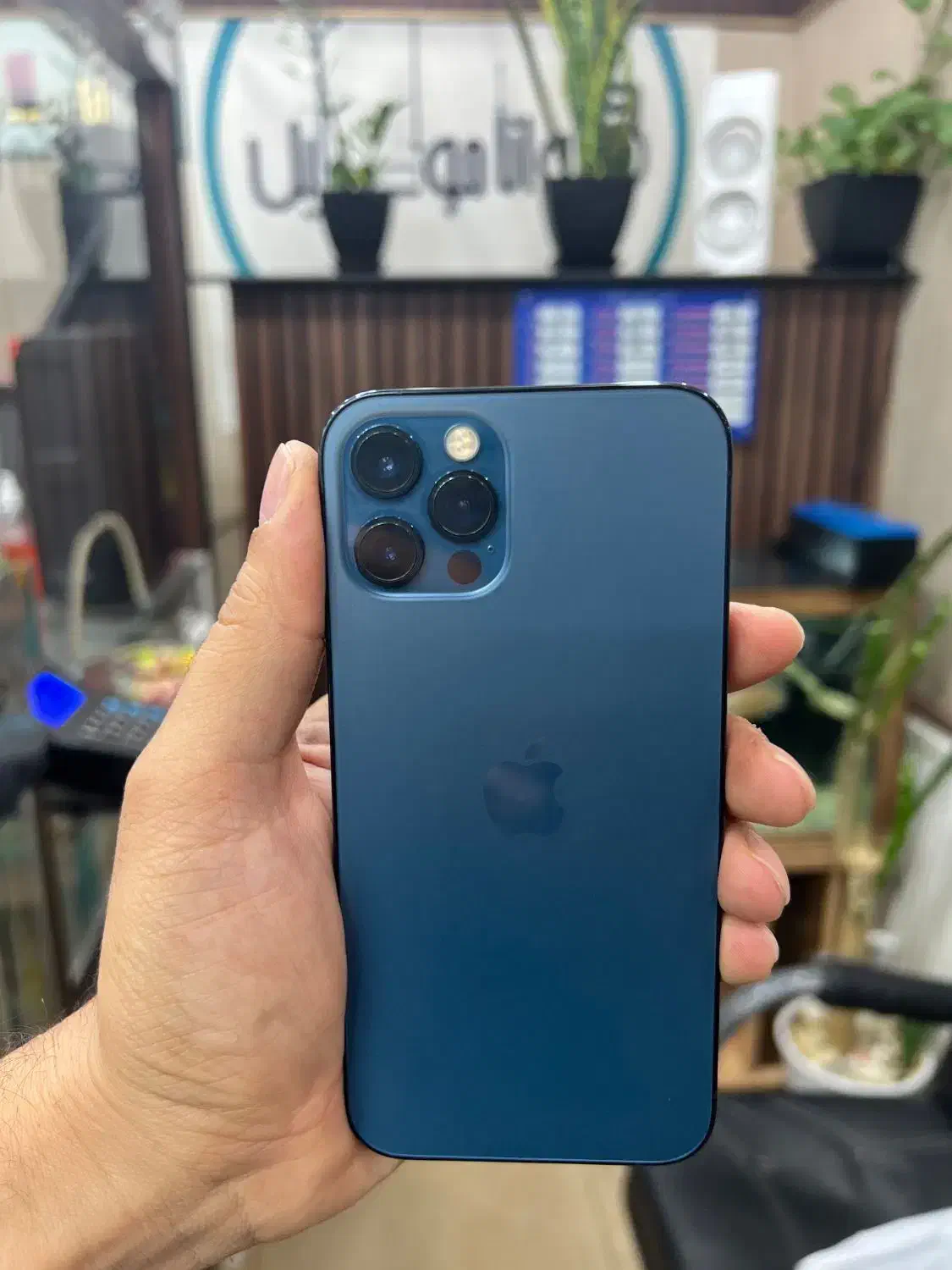 آیفون ۱۲ پرو /۱۲۸گیگ / تک سیم|موبایل|ارومیه, |دیوار