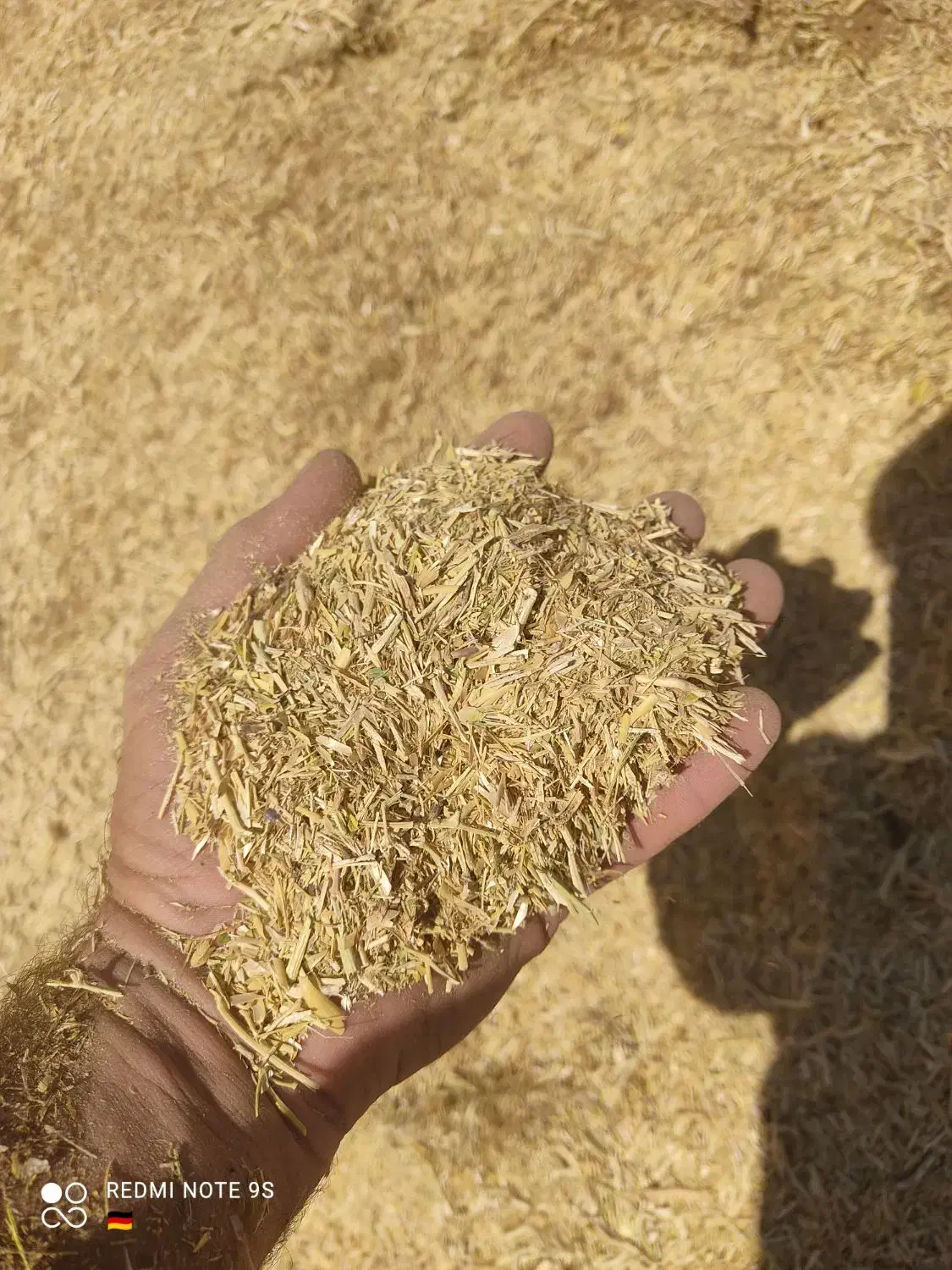 کاه نخود|عمدهفروشی|بوکان, |دیوار