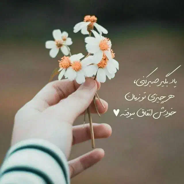 فروش دو عدد فیش حج واجب سال ۸۶|تور و چارتر|نجفآباد, شیخ آباد|دیوار