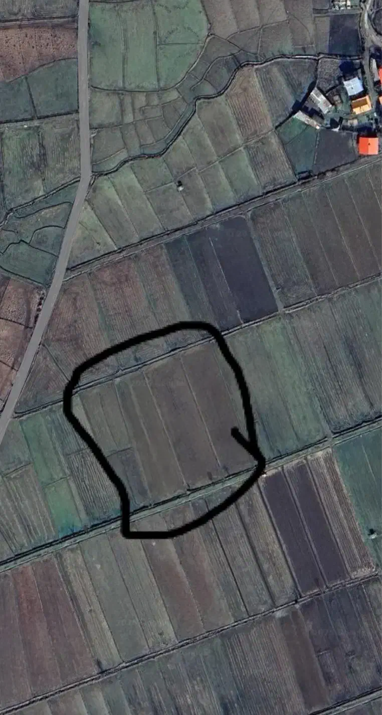 ۱ هکتار مزرعه برنج|فروش زمین و ملک کلنگی|رضوانشهر, |دیوار