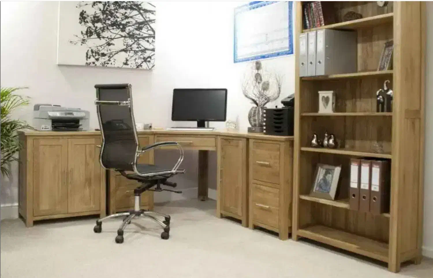 منشی|استخدام اداری و مدیریت|شیراز, اصلاح‌نژاد|دیوار