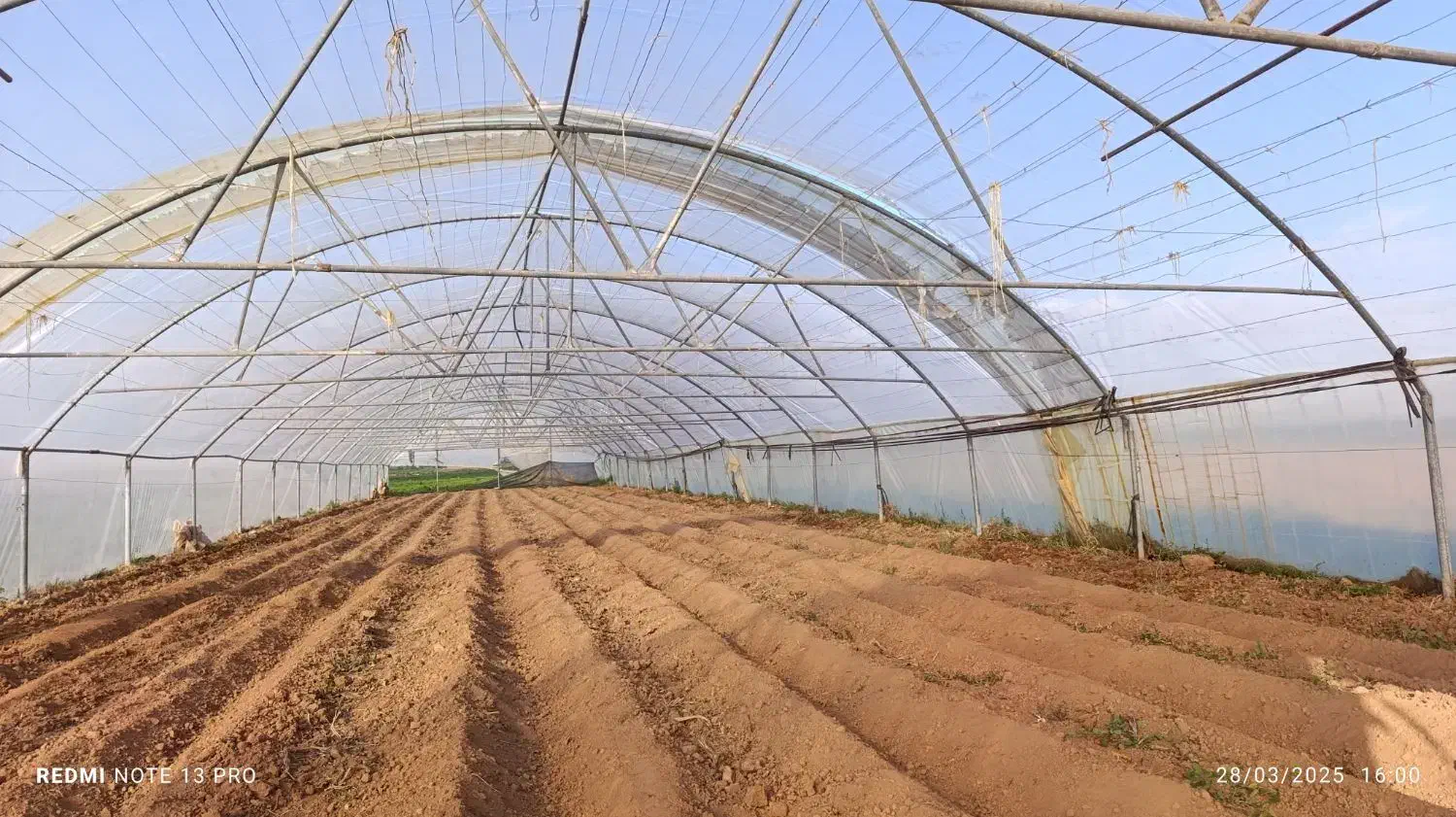 نصب انواع سازه گلخانه|خدمات پیشه و مهارت|فریمان, |دیوار