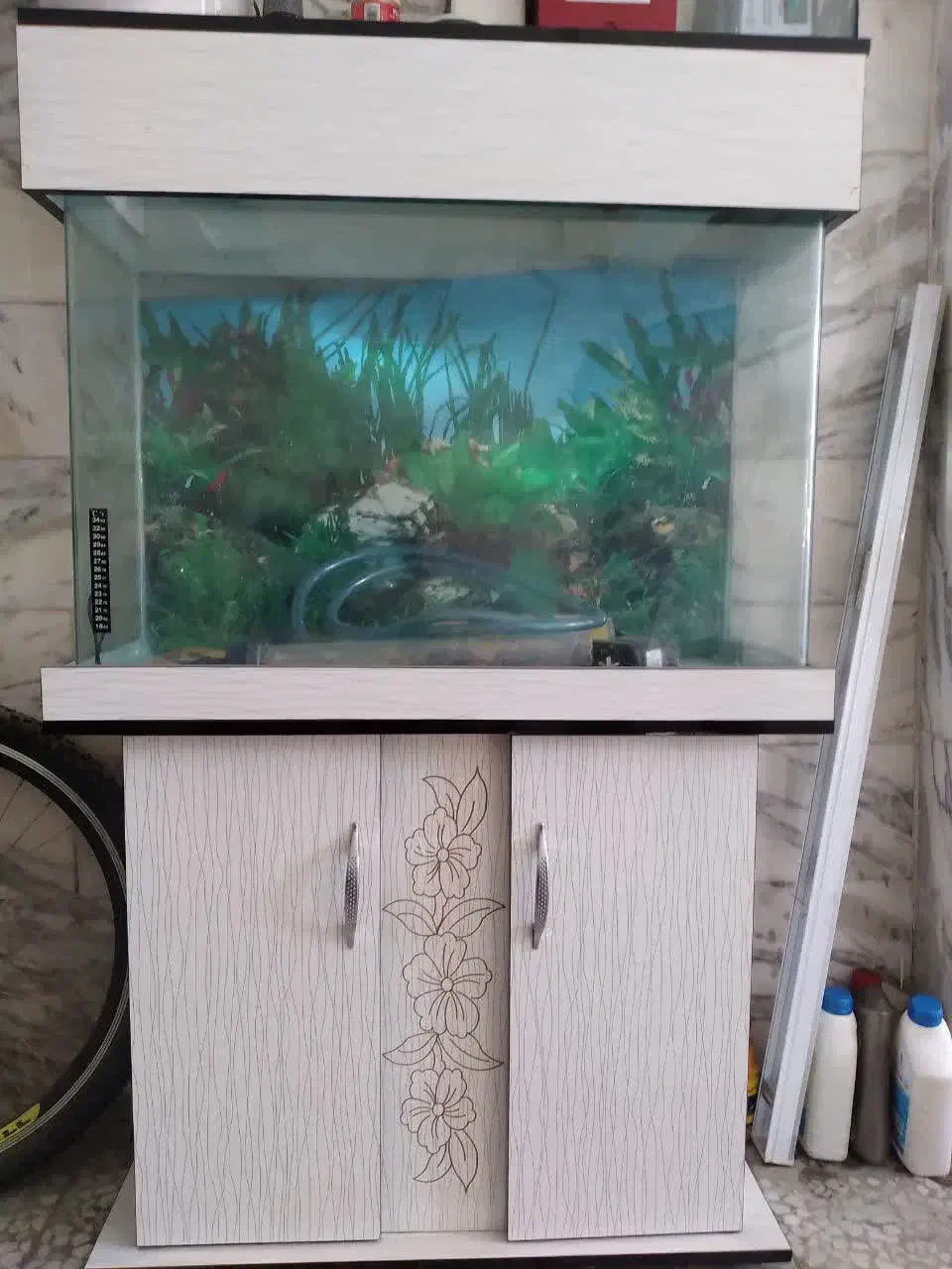 آکواریوم در حدنو|ماهی|اسلام‌شهر, مظفریه|دیوار