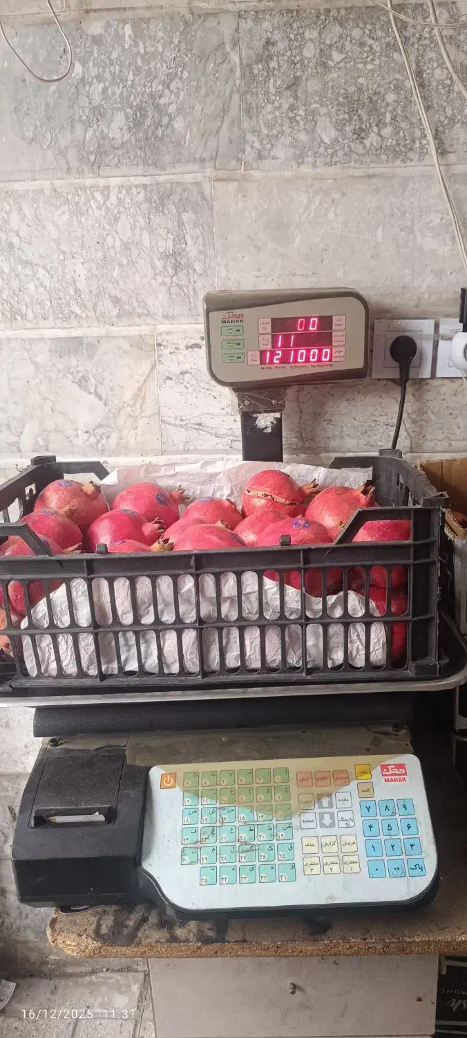 کارگرساده|خدمات باغبانی و درختکاری|مشهد, شهرک امام هادی (شهرک غرب)|دیوار