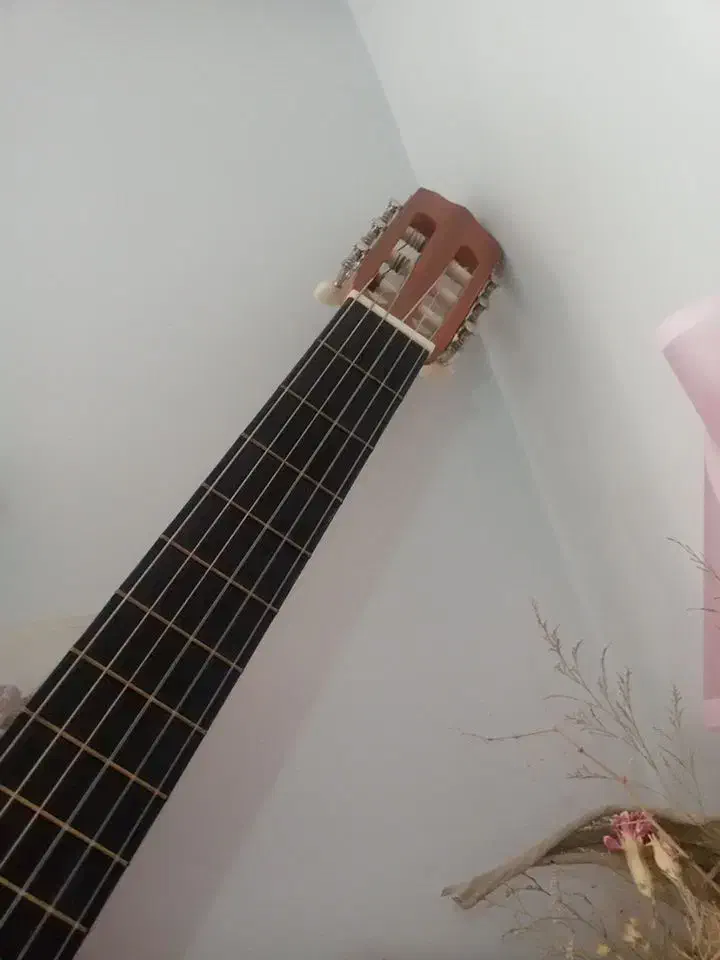 گیتارm2|گیتار، بیس، امپلیفایر|مبارکه, |دیوار