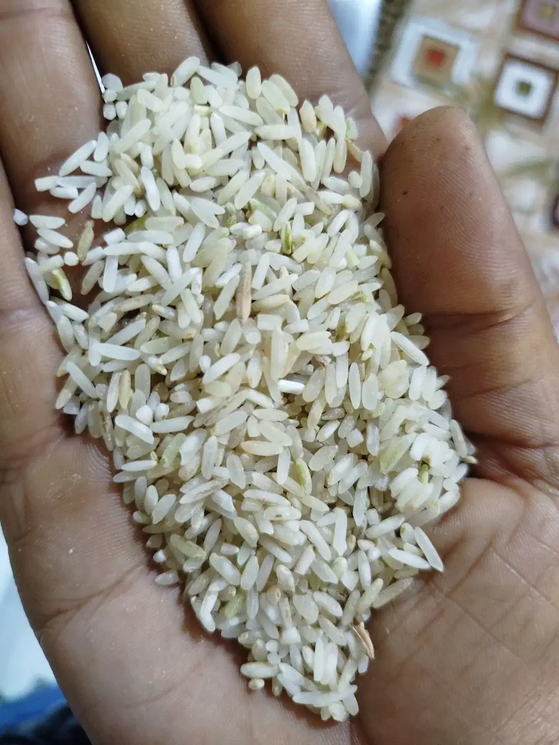 برنج چمپا کیلو/250|خوردنی و آشامیدنی|یاسوج, |دیوار