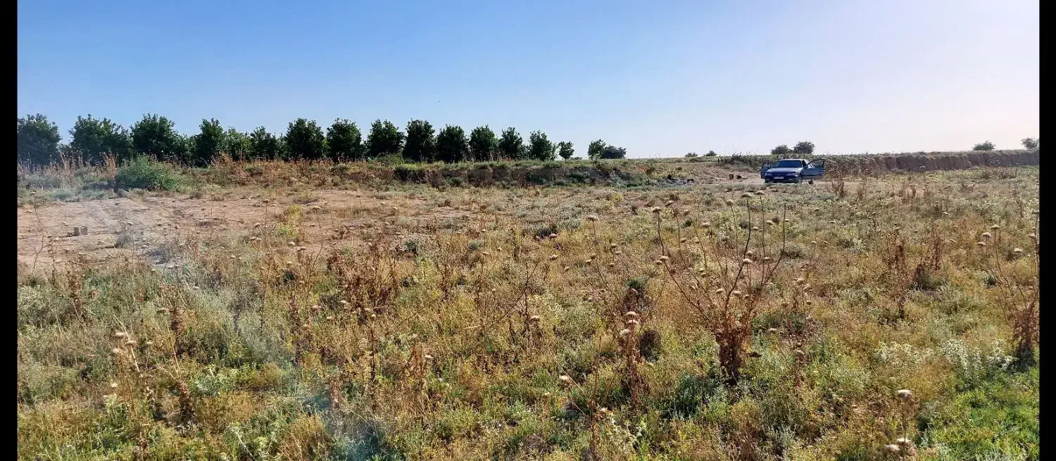 زمین سیامنصور|فروش دفتر صنعتی، کشاورزی، تجاری|دزفول, |دیوار