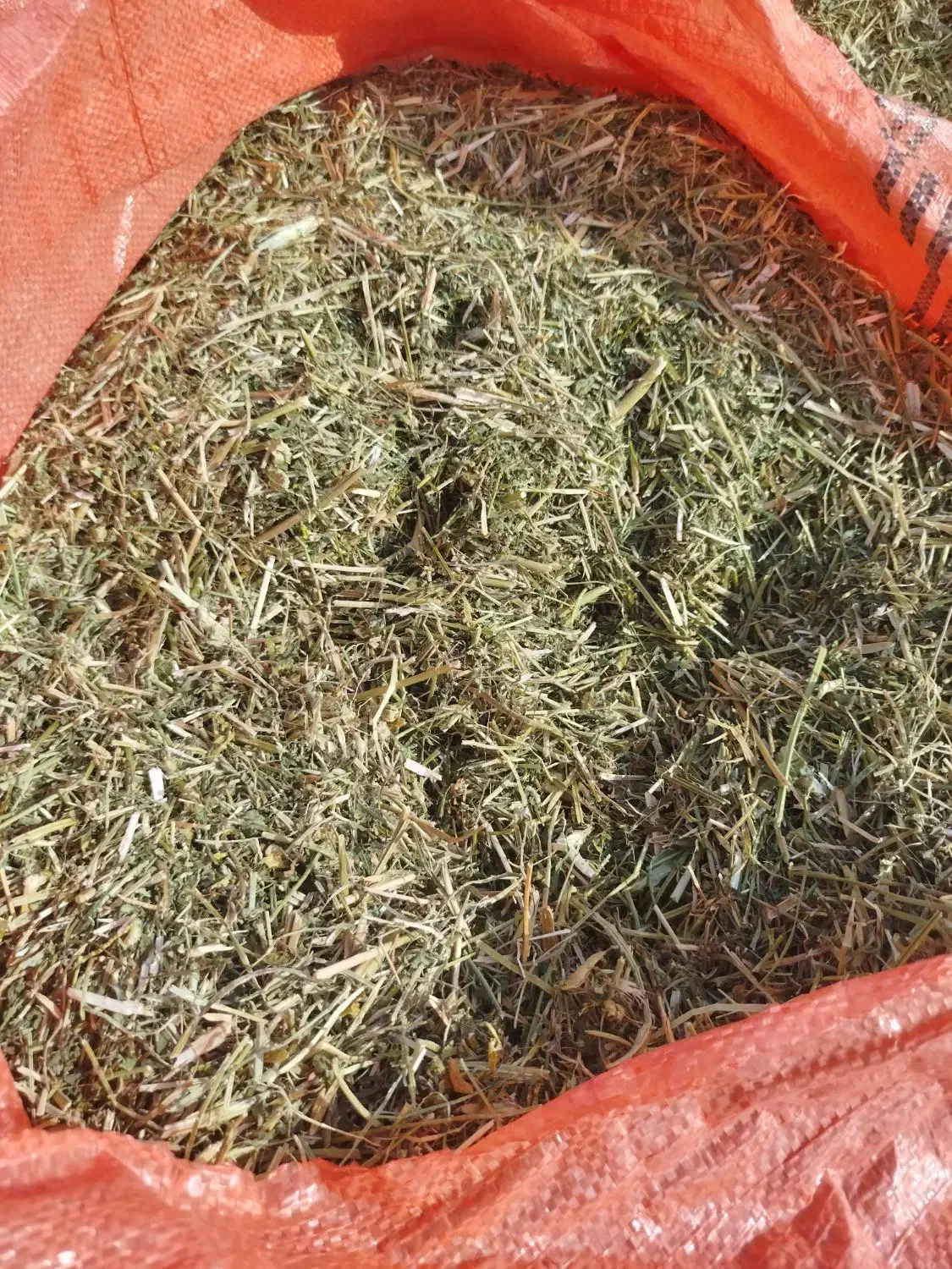 یونجه|خدمات باغبانی و درختکاری|خورموج, |دیوار