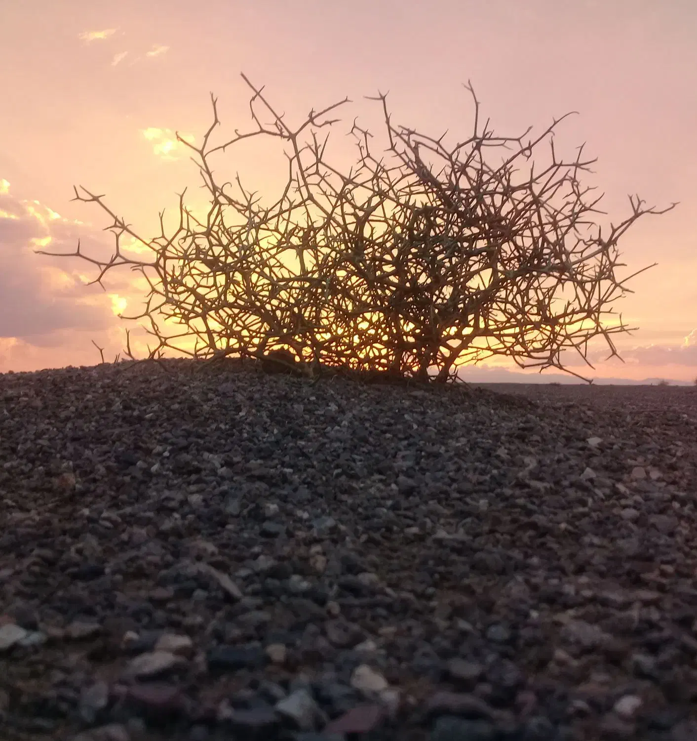 خودرو آفروداجاره همراه باراننده داریم|خودرو اجاره‌ای|کاشان, درب اصفهان|دیوار