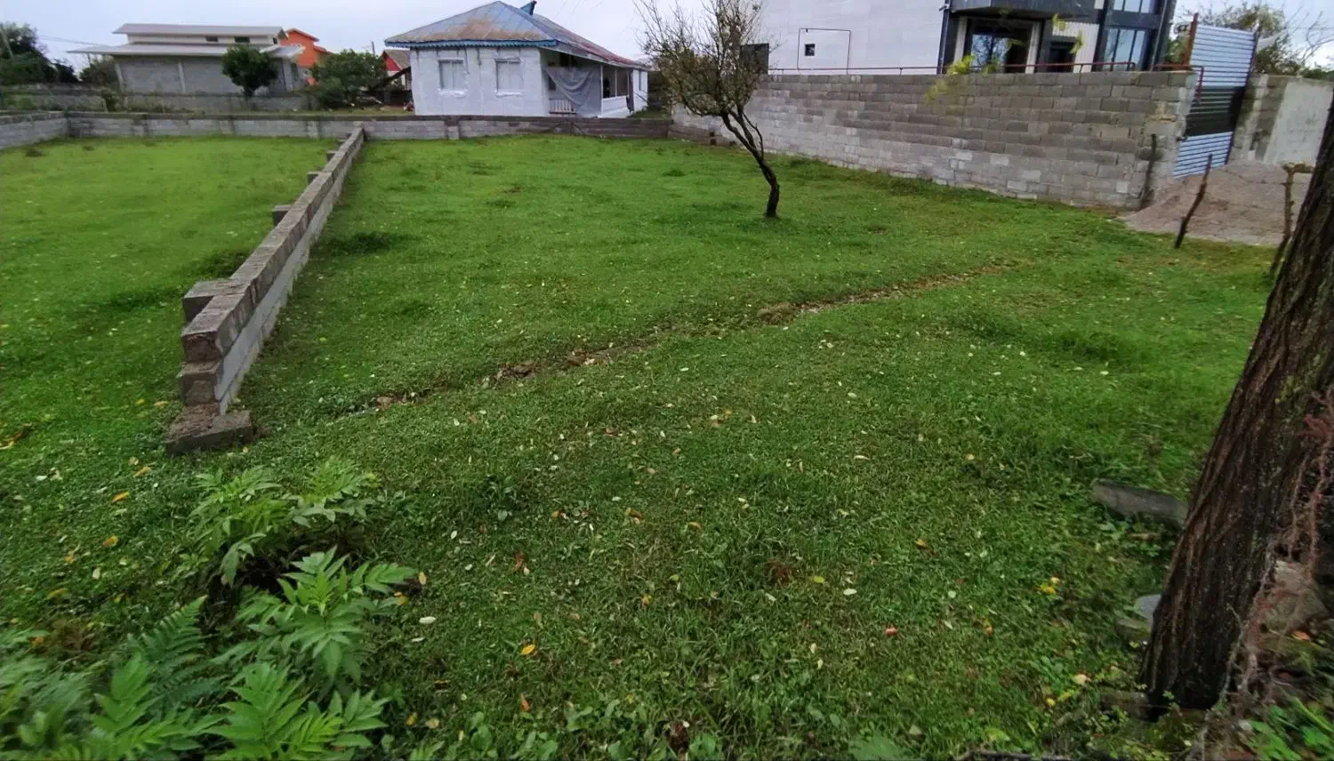 زمین مسکونی شهری / سند دار|فروش زمین و ملک کلنگی|رضوانشهر, |دیوار