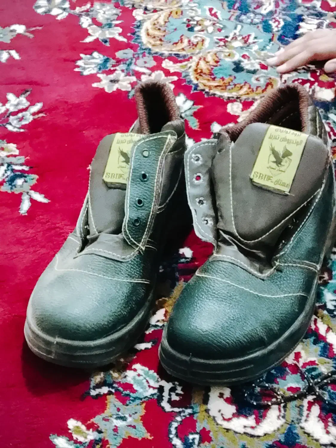 سعدی۱|کیف، کفش، کمربند|شادگان, |دیوار