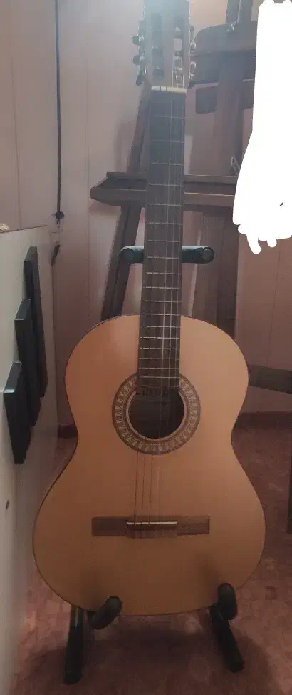 گیتار|گیتار، بیس، امپلیفایر|اردبیل, |دیوار