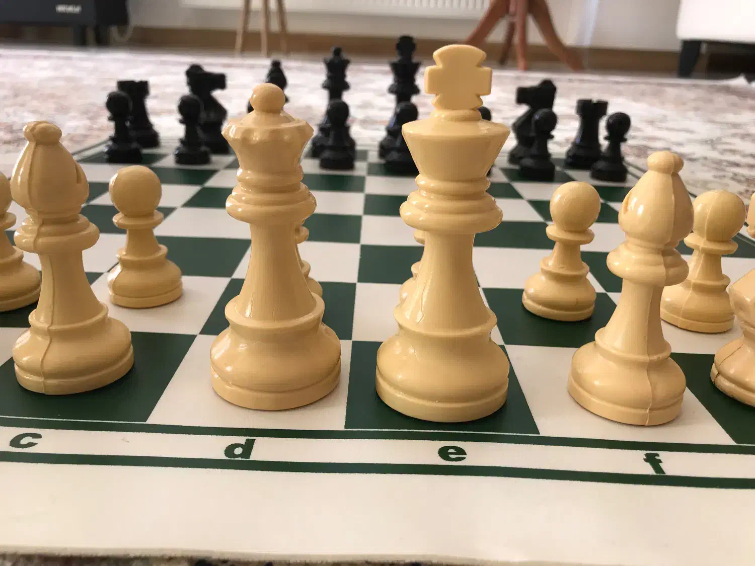 شطرنج|اسباب‌‌بازی|شاهرود, |دیوار