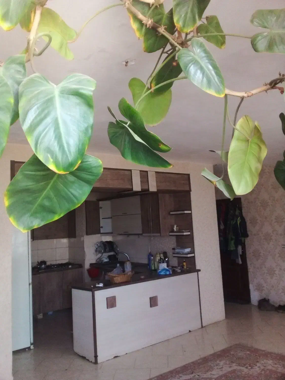 آپارتمان ۸۱ متری .شهرجدیدگلبهار.بلوار فروردین ۲۲|فروش آپارتمان|گلبهار, شهر جدید گلبهار|دیوار