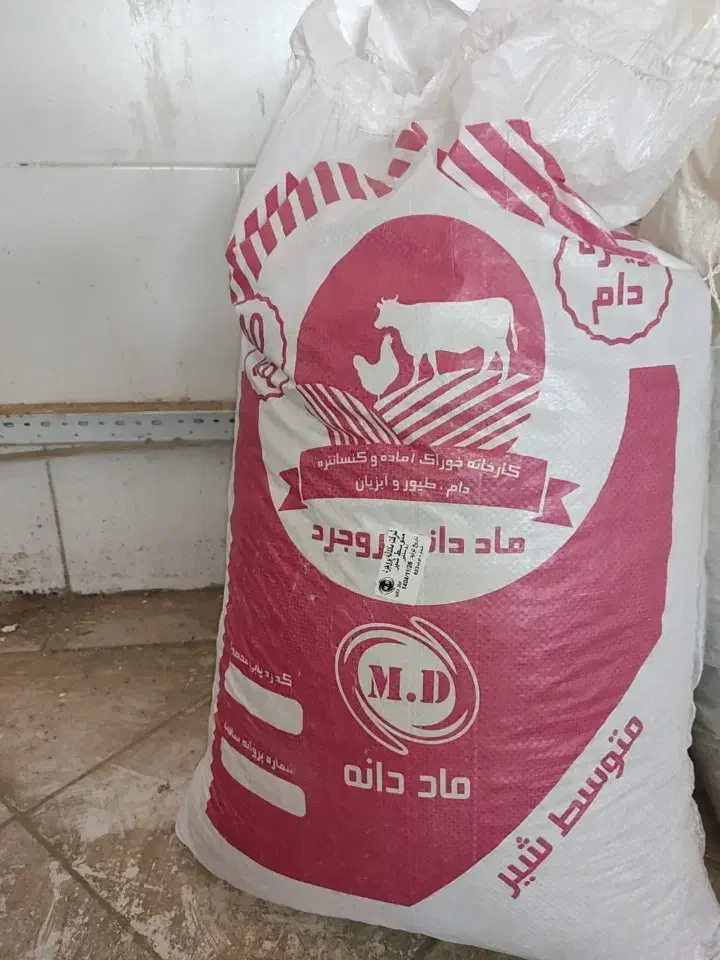 خوراک دام|لوازم جانبی حیوانات|الیگودرز, |دیوار