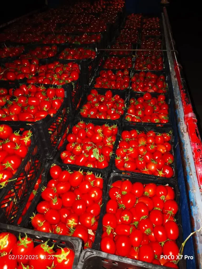 درمان قطعی کبد چرب وسنگ صفرا|آرایشی، بهداشتی، درمانی|اصفهان, کوی ولی عصر|دیوار