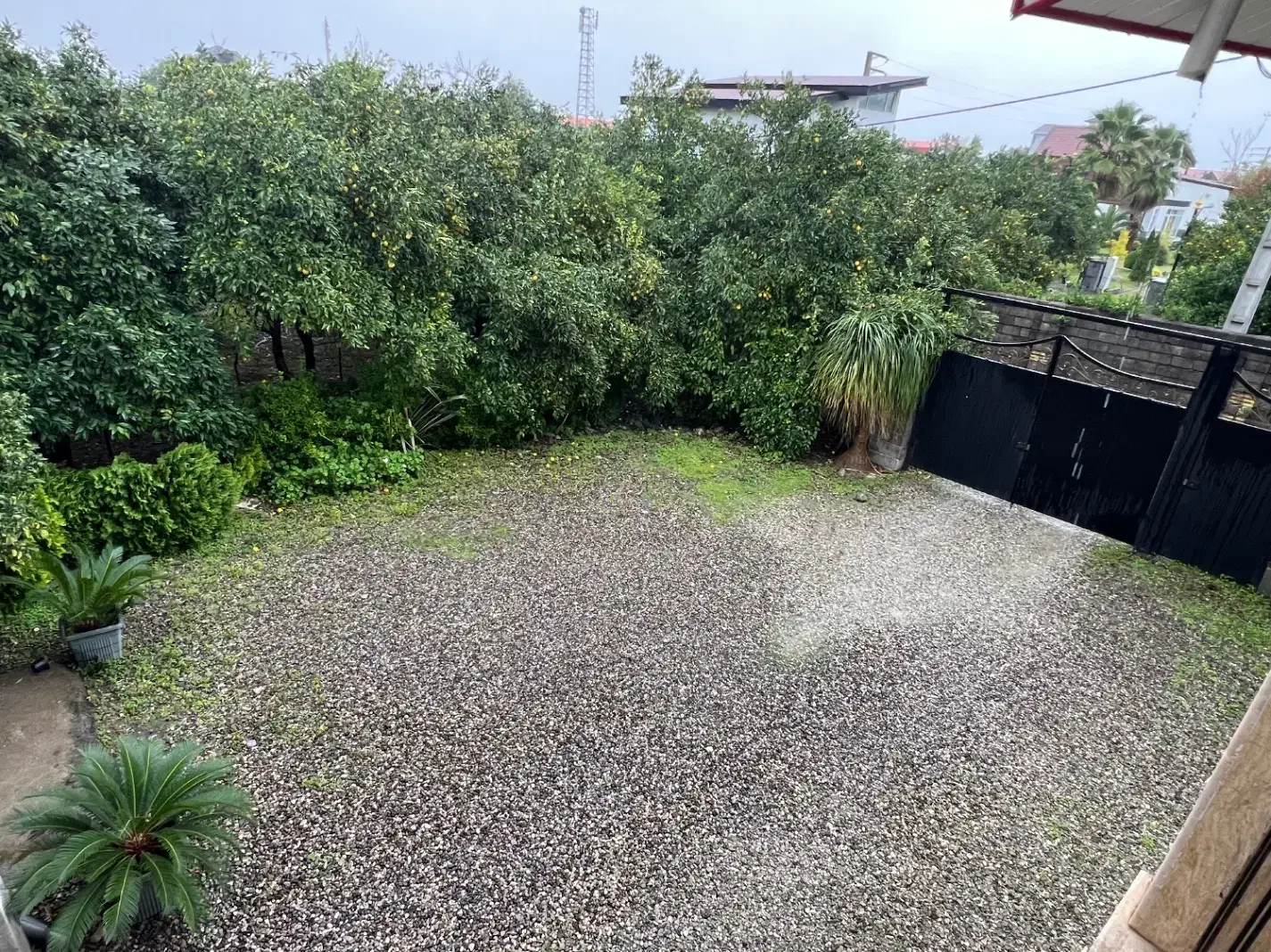 اجاره ویلا شبانه|اجارهٔ کوتاه‌مدت ویلا و باغ|نشتارود, |دیوار