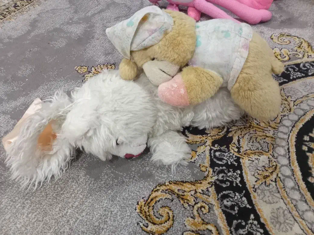 انواع عروسک|اسباب‌بازی بچه|رباط‌کریم, نصیرشهر|دیوار