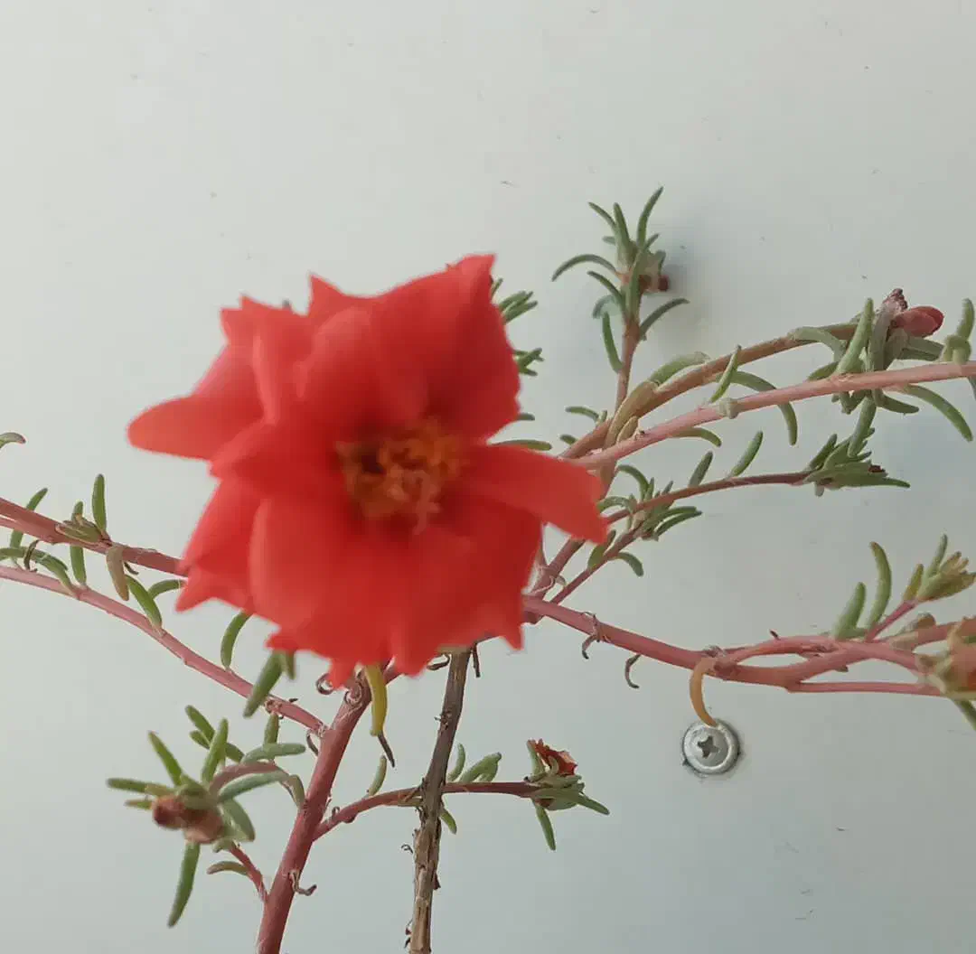 منشی|استخدام اداری و مدیریت|بناب, |دیوار