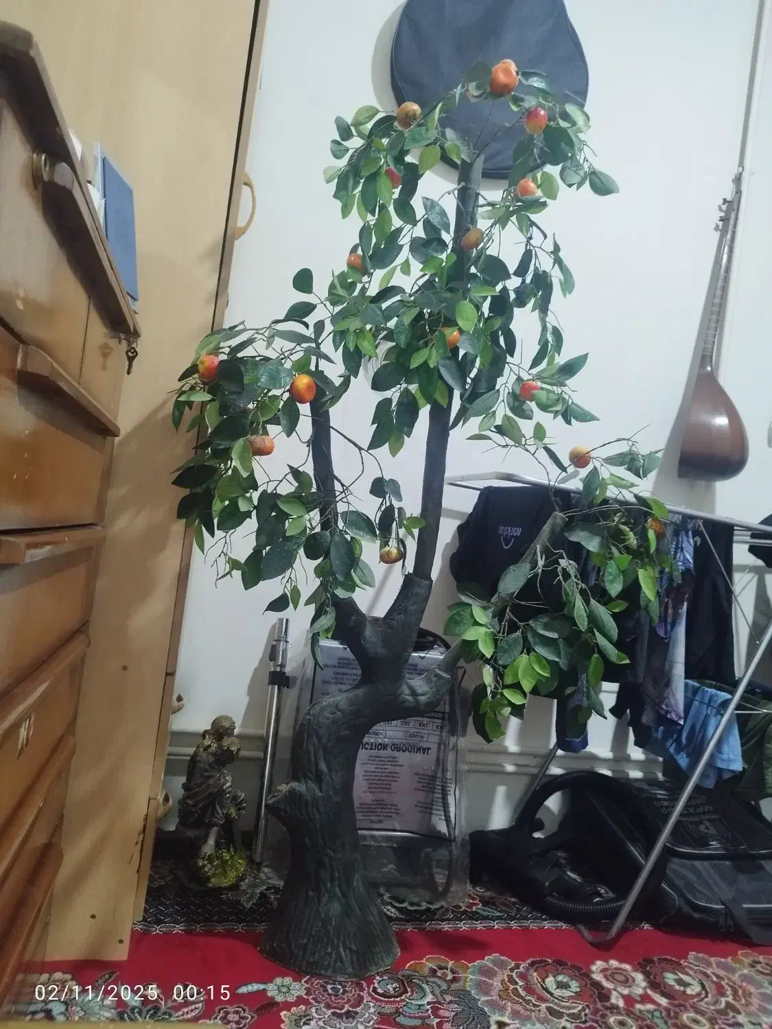 درختچه مصنوعی|گل و گیاه طبیعی|کرمانشاه, |دیوار