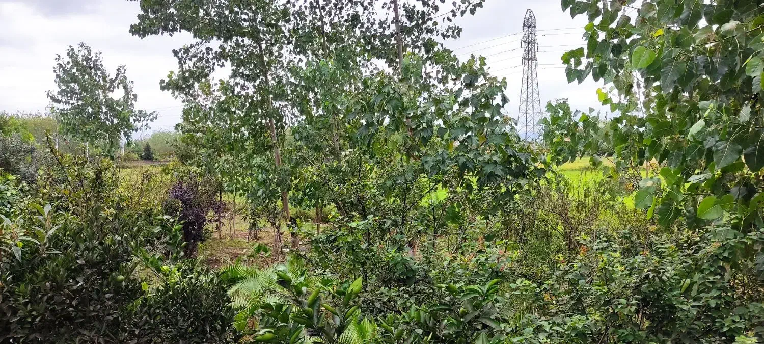 اجاره سوئیت ویلایی ۱ خوابه تمیز رو به باغ|اجارهٔ کوتاهمدت ویلا و باغ|رودسر, |دیوار