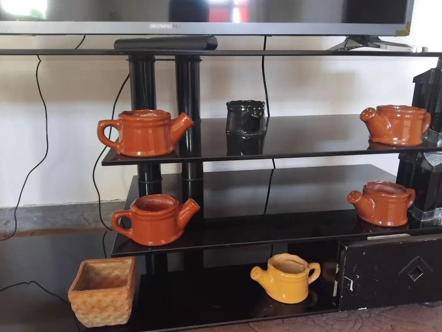 گلدان|گل و گیاه طبیعی|سقز, |دیوار