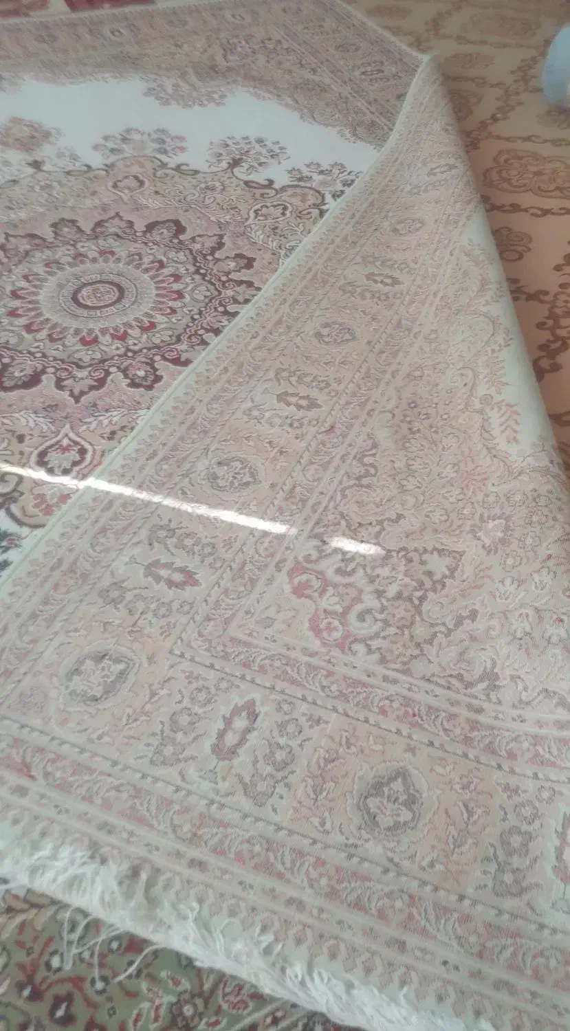 فرش|فرش|قروه, |دیوار