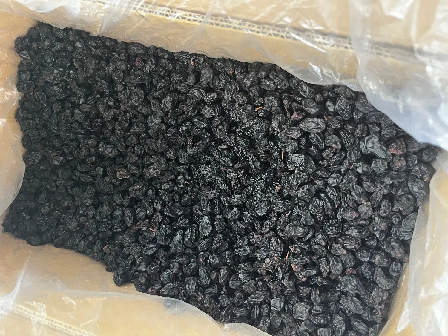 مویز گوشتی انگور شانی|خوردنی و آشامیدنی|کرج, مصباح|دیوار