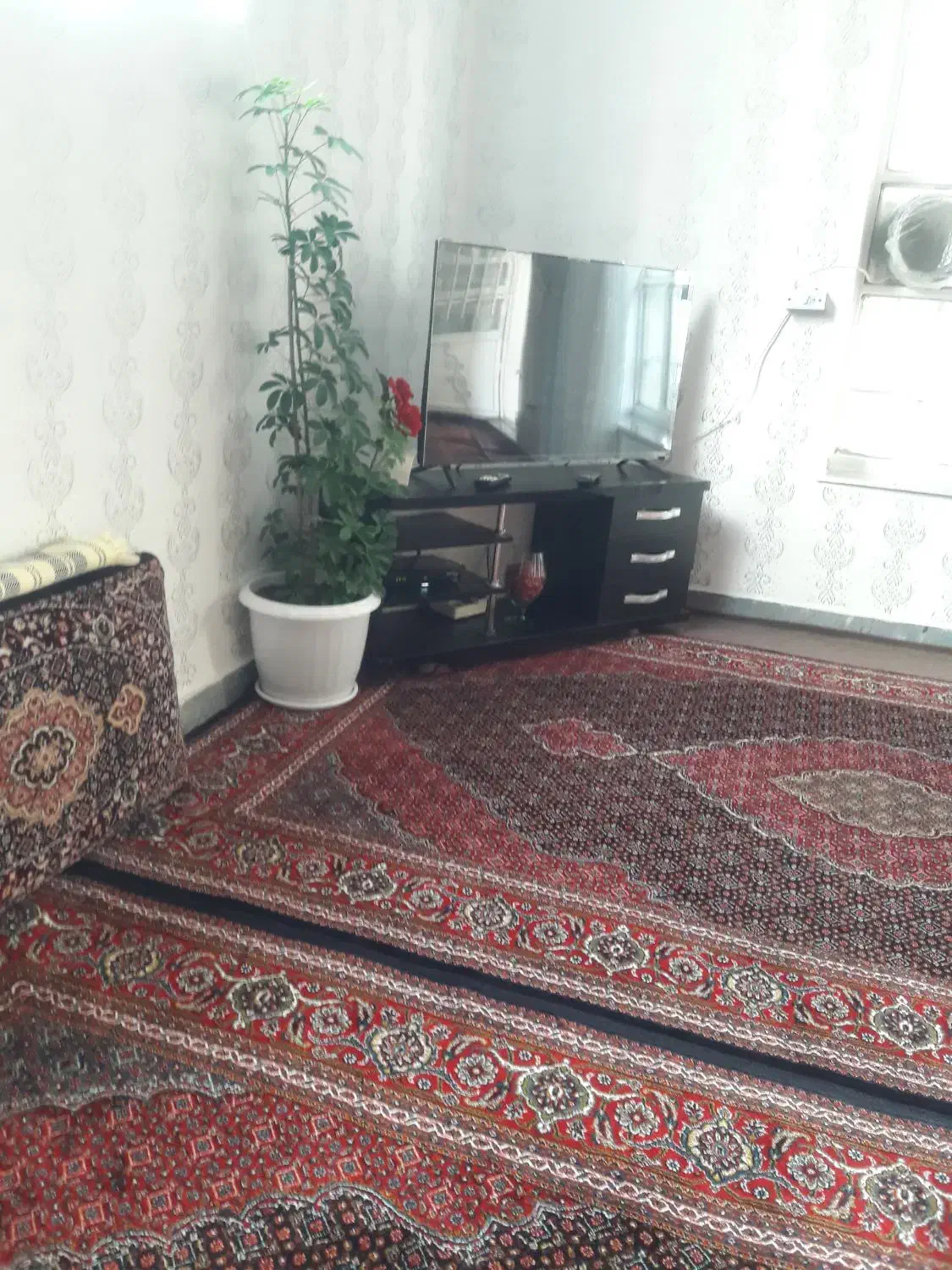 فرش تازه|فرش|مریوان, |دیوار