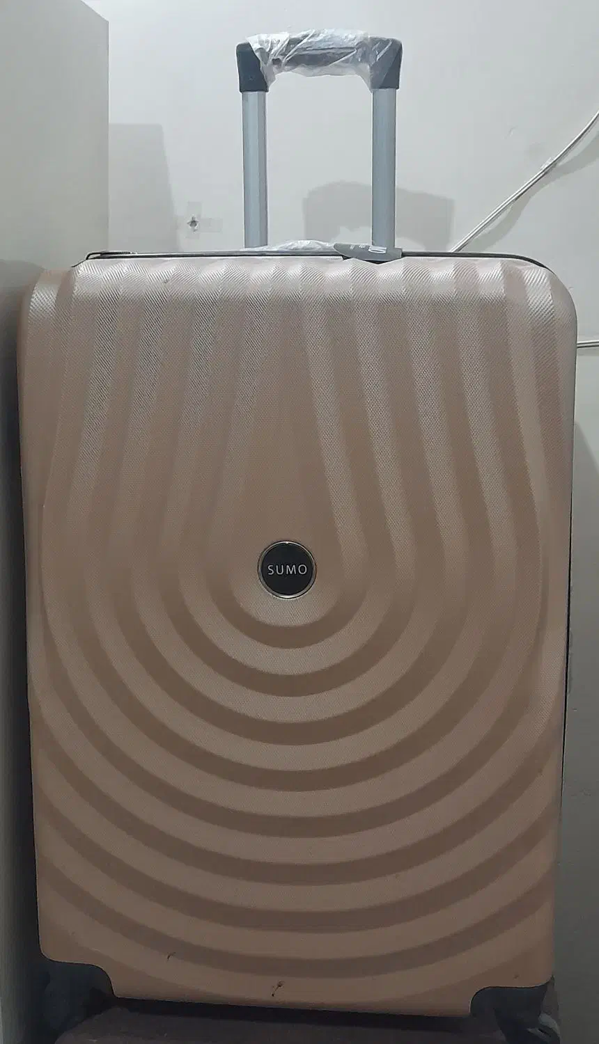 چمدان|کیف، کفش، کمربند|اهواز, لشکرآباد|دیوار