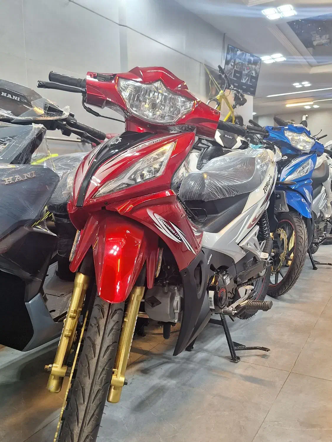 بیکلاج کویر ۱۲ ماه بدون سود|موتورسیکلت|اصفهان, محمودیه|دیوار