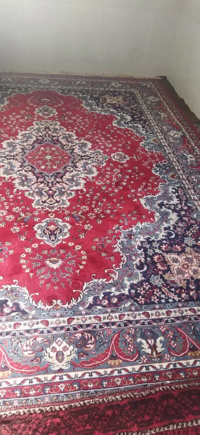 فرش|فرش|قائن, |دیوار