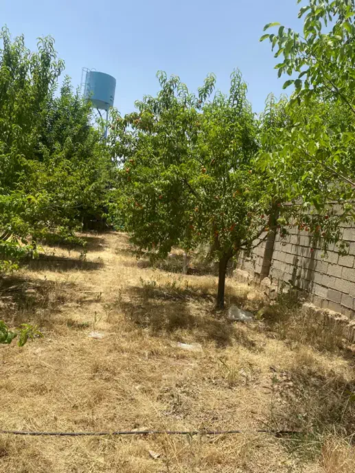 ۱۳۰۰ متر زمین باغ شهری جاده صدرا|فروش زمین و ملک کلنگی|شیراز, علوم پزشکی|دیوار