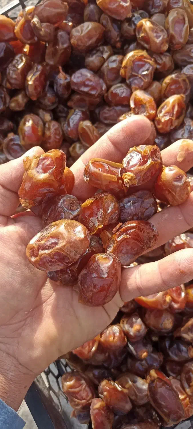 خاصوی|خوردنی و آشامیدنی|بندرعباس, |دیوار