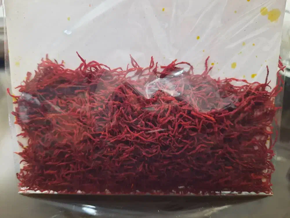 طلای سرخ|خوردنی و آشامیدنی|گرگان, |دیوار