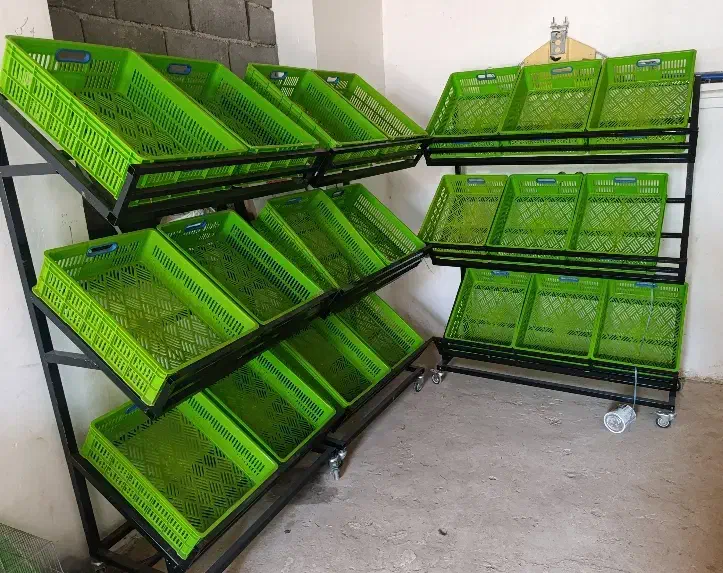 استند (قفسه)متحرک میوه فروشی (نو)|فروشگاه و مغازه|قیدار, |دیوار