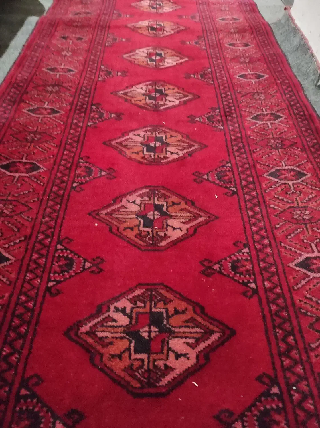 فرش دستبافت ترکمن|فرش|رشت, حمیدیان|دیوار