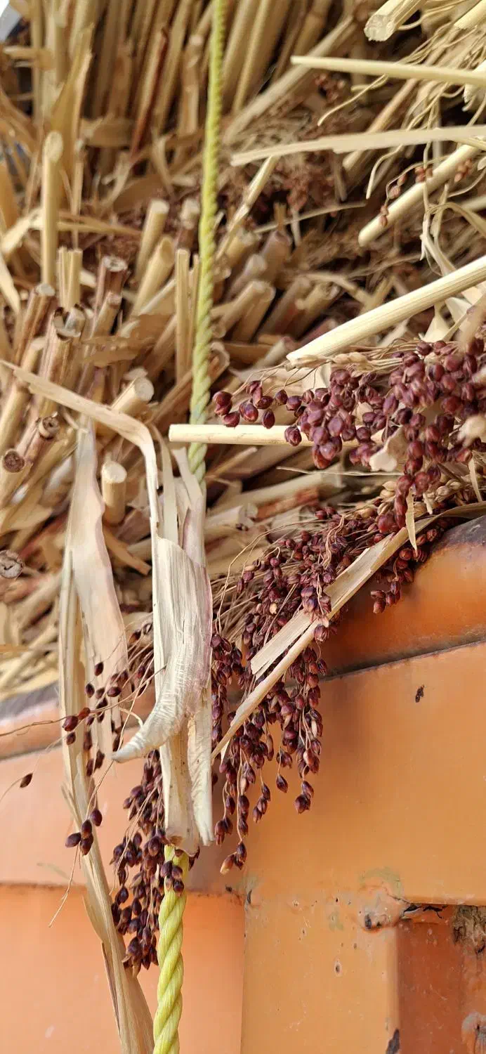 فروش جارو|لوازم نظافت|آشخانه, |دیوار