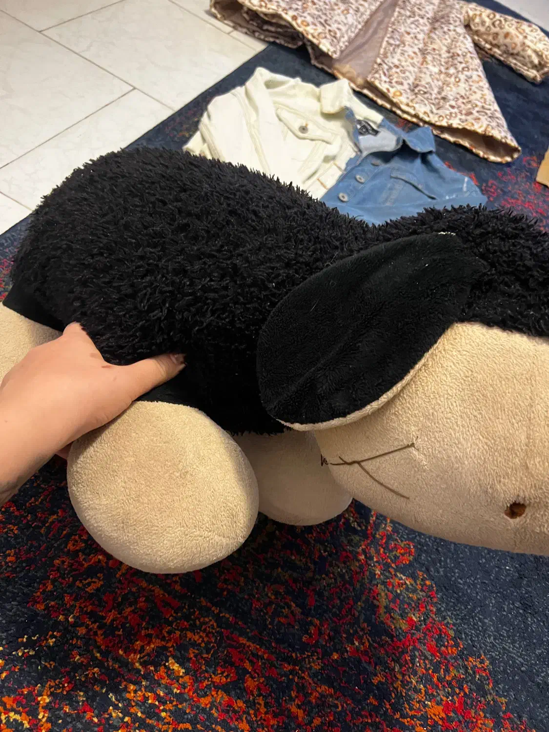 یک عدد عروسک خارجی سایز متوسط|اسباب‌‌بازی|بابلسر, |دیوار