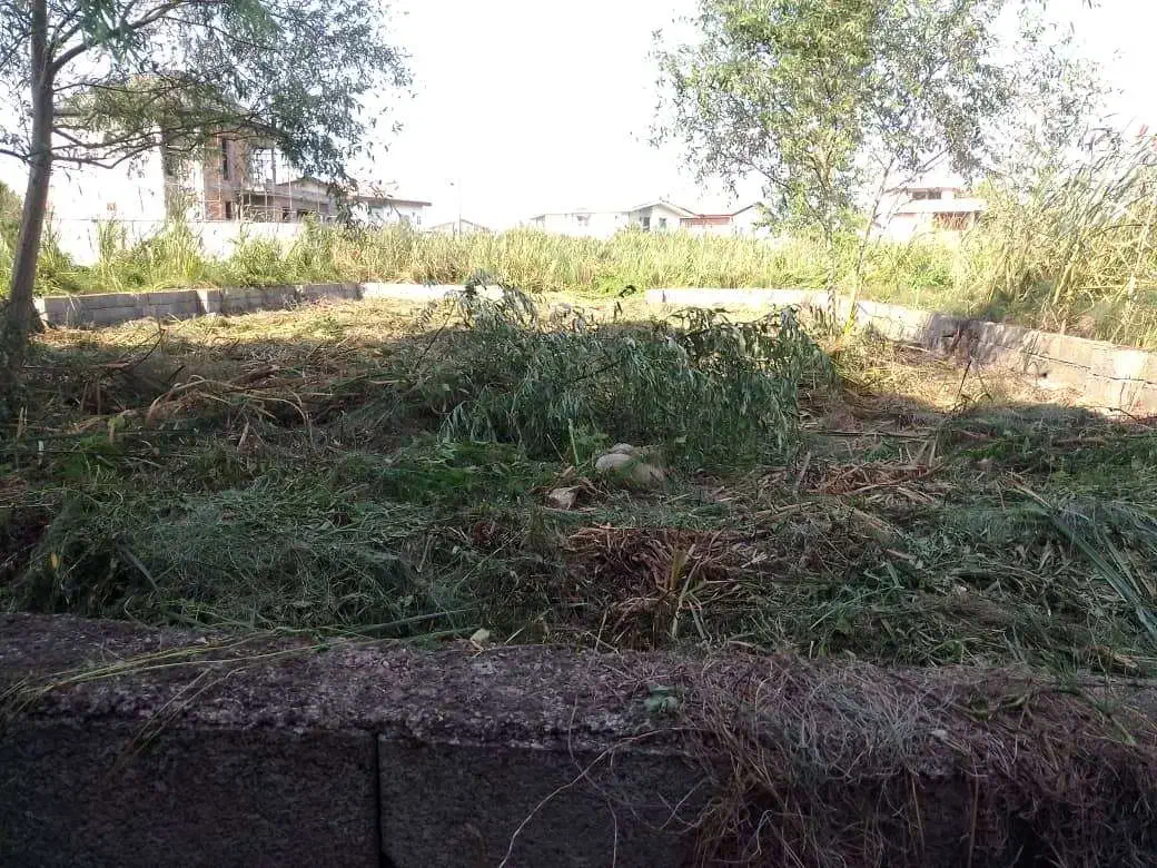 فروش زمین 233 متری/سند تک برگ/قابل ساخت|فروش زمین و ملک کلنگی|عباسآباد, |دیوار