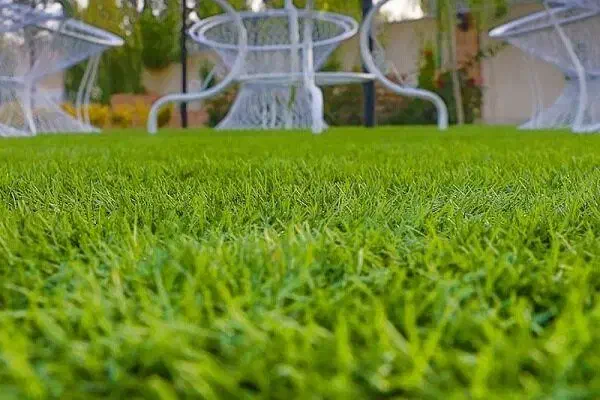 پخش و اجرا انواع چمن مصنوعی و فنس چمن|مصالح و تجهیزات ساختمان|تهران, شهرک فردوس (حسینی)|دیوار