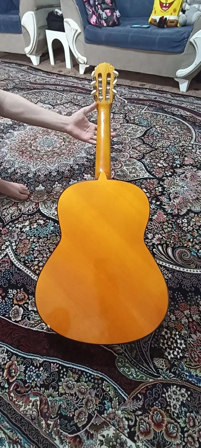 گیتار کلاسیک با رنگ جذاب|گیتار، بیس، امپلیفایر|پاکدشت, پاکدشت (مامازند)|دیوار