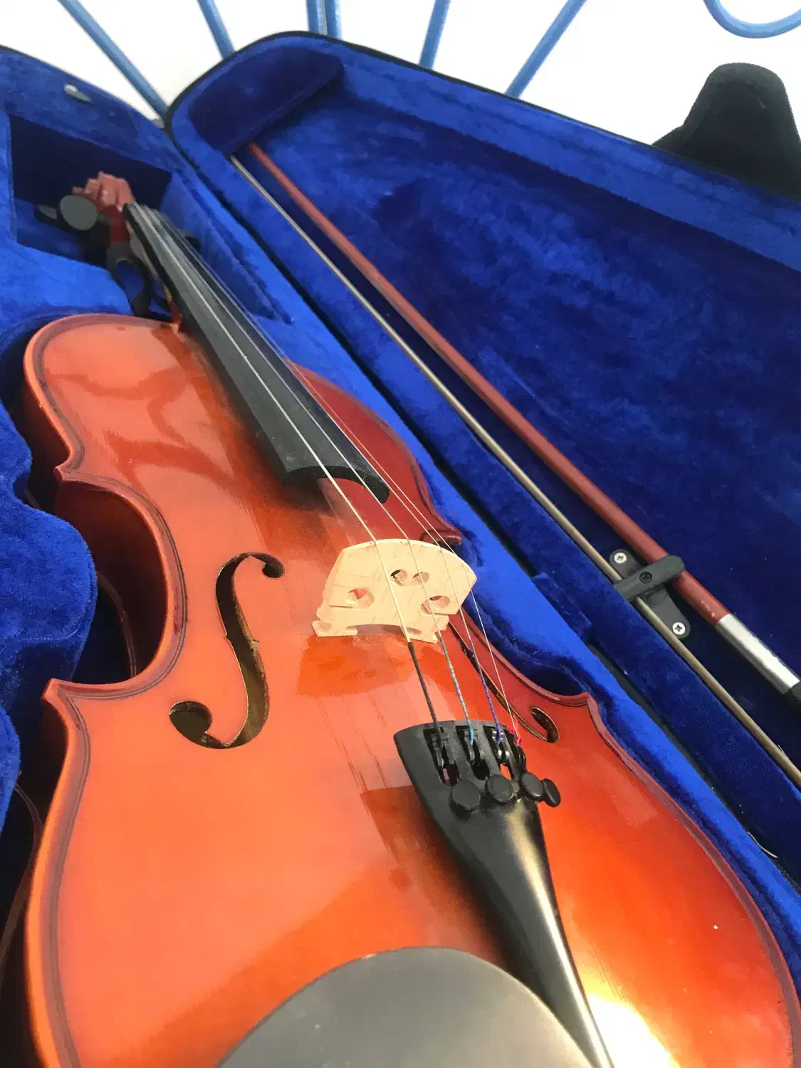 ویولن رناتو|ویولن|زنجان, |دیوار