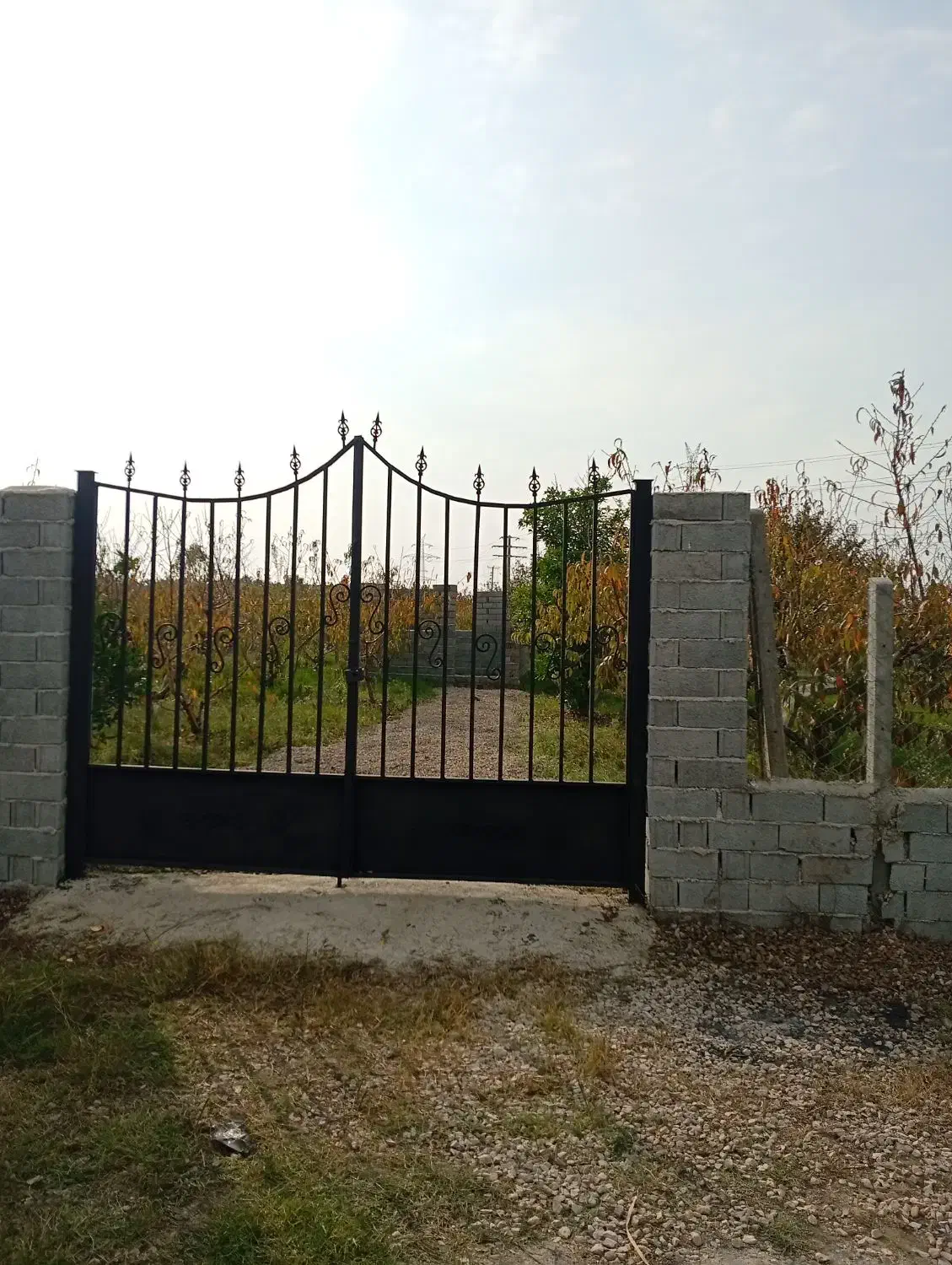 ۳۵۰متر باغ در ساری کنار تجهیزات مدارس طاهرده|فروش زمین و ملک کلنگی|ساری, |دیوار