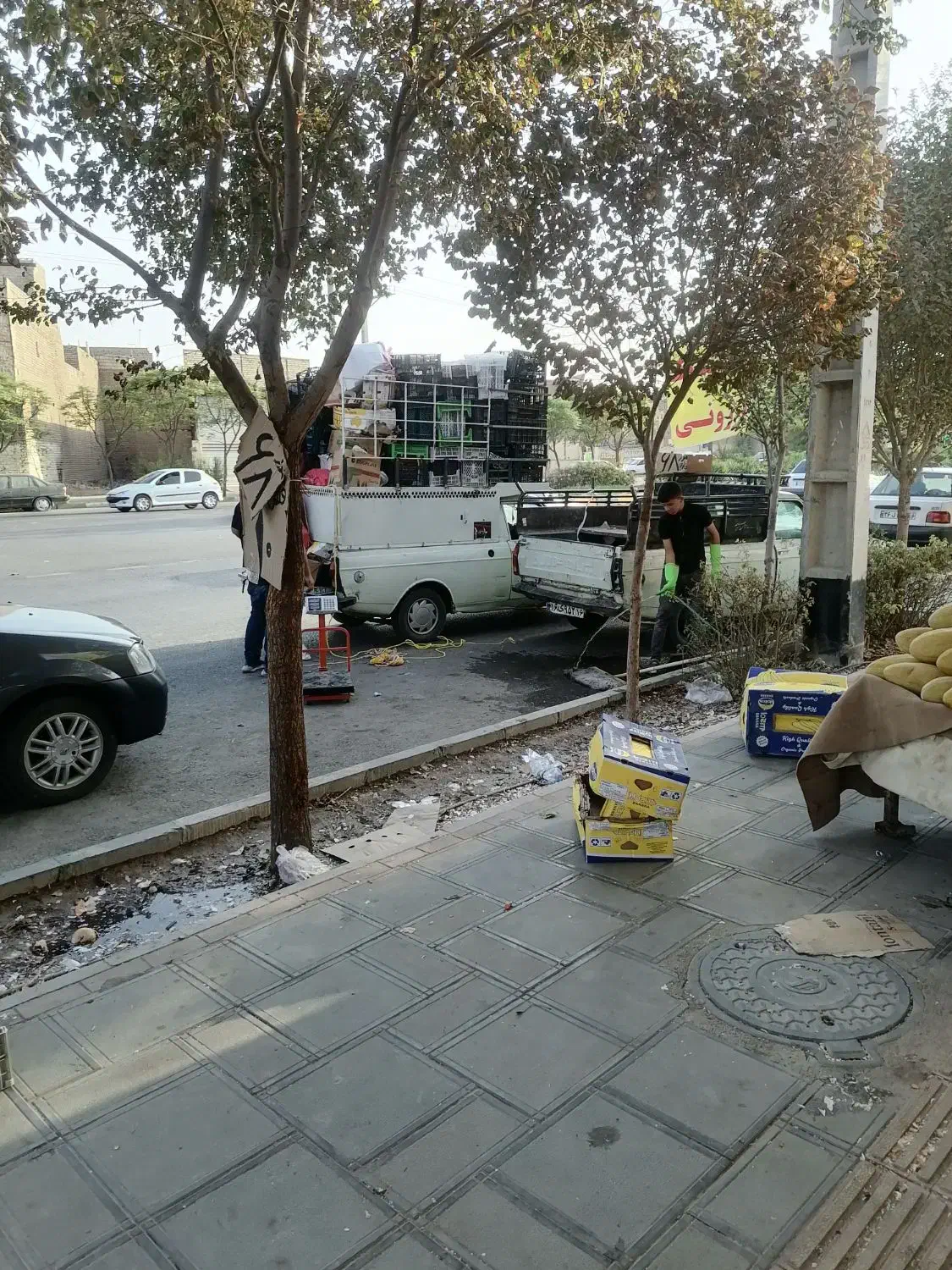 نیروی کار در میوه فروشی با حقوق بالا|استخدام خدمات فروشگاه و رستوران|قم, شهرک امام حسین|دیوار