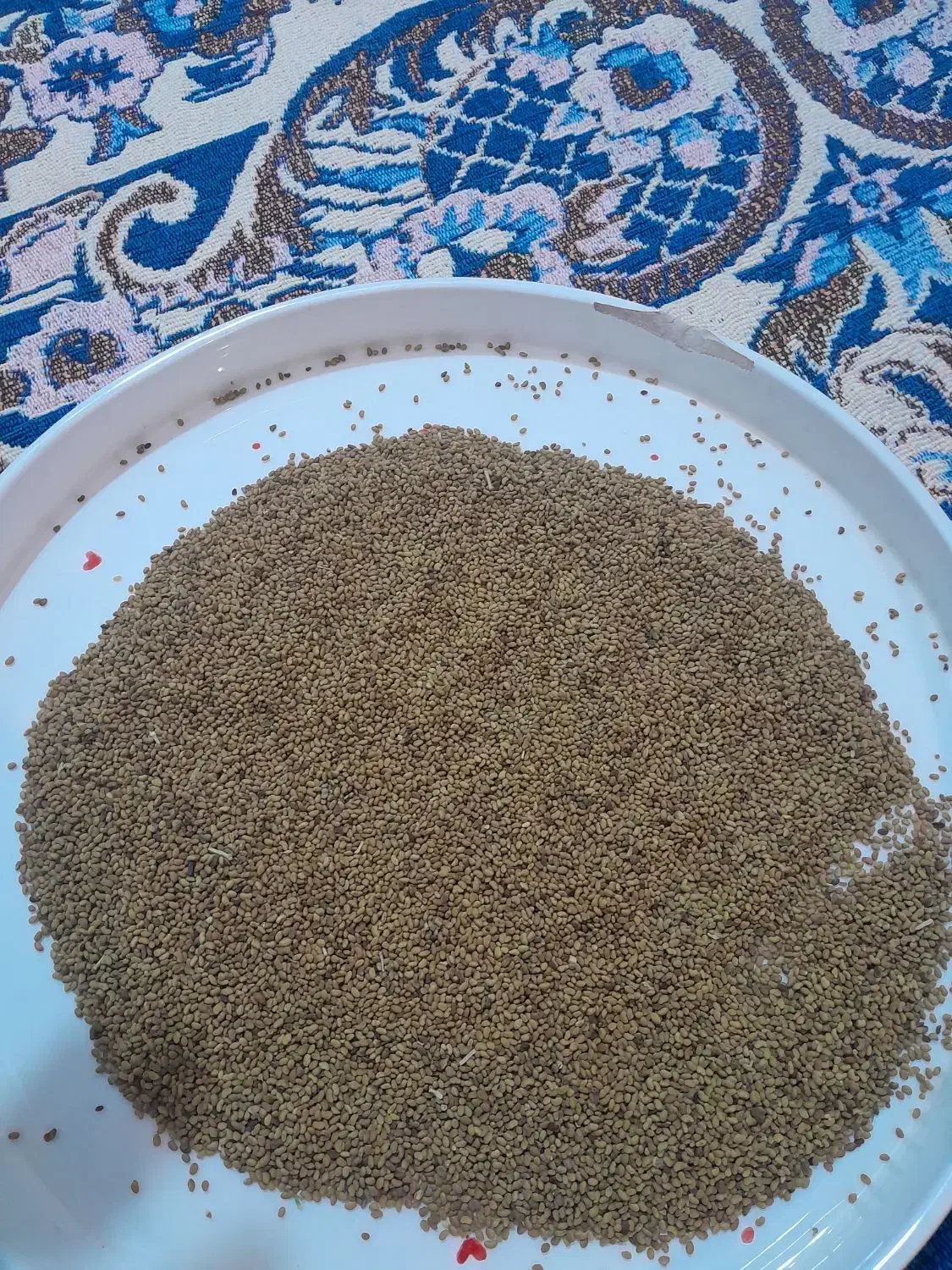 بذر یونجه کیلویی ۴۴۰|خدمات باغبانی و درختکاری|نهاوند, |دیوار