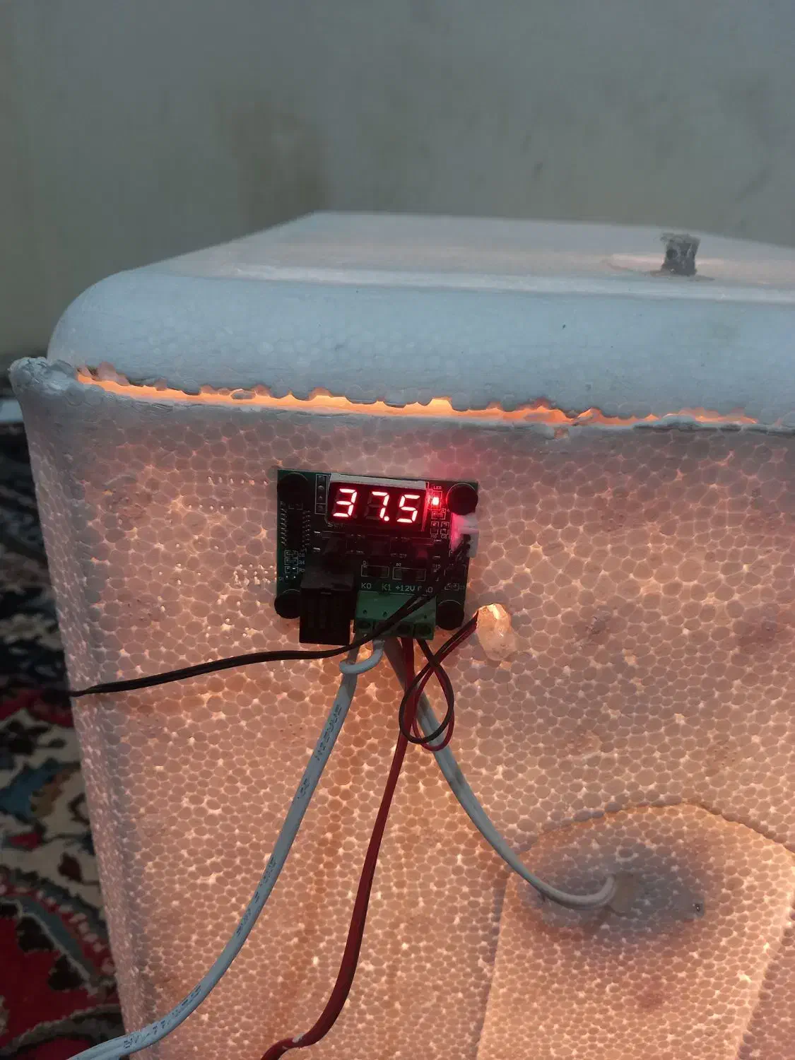 گاز دستگاه جوجه کشی به همراه جوجه|اجاق گاز و لوازم برقی پختوپز|کاشان, باهنر|دیوار