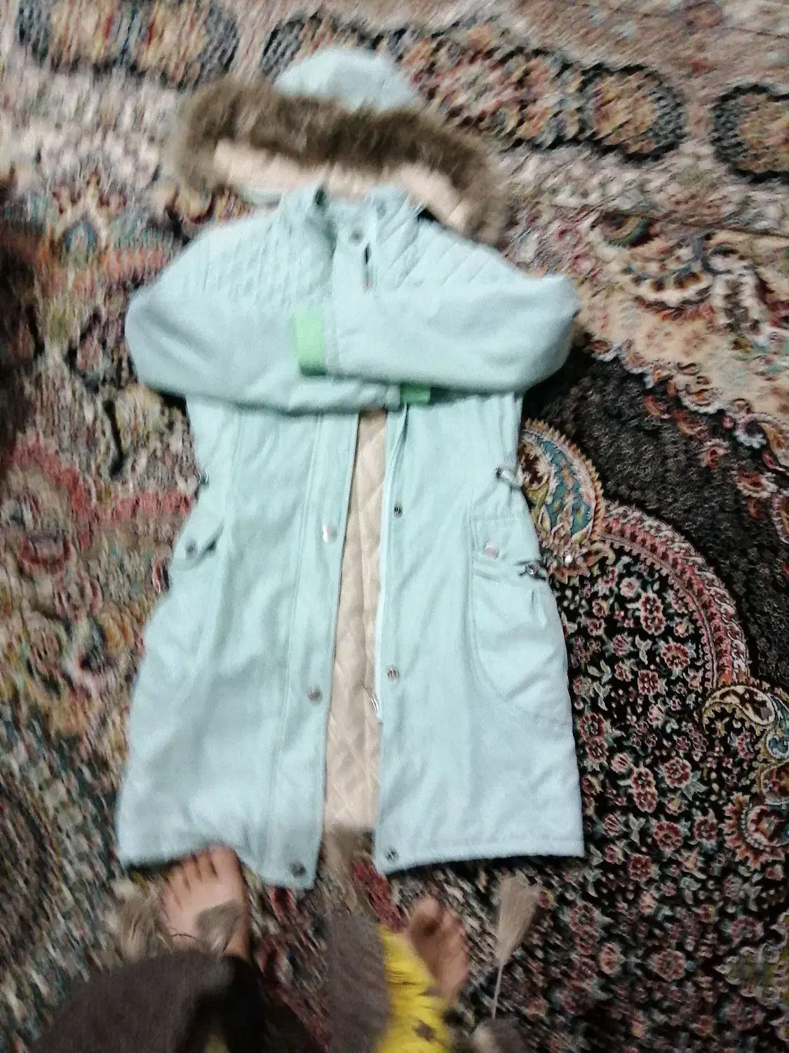 پالتو فقط دوبار استفاده|لباس|بیرجند, |دیوار