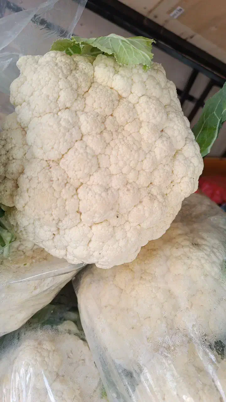 گل کلم وسایل ترشی میوه|خوردنی و آشامیدنی|رباط‌کریم, شترخوار|دیوار