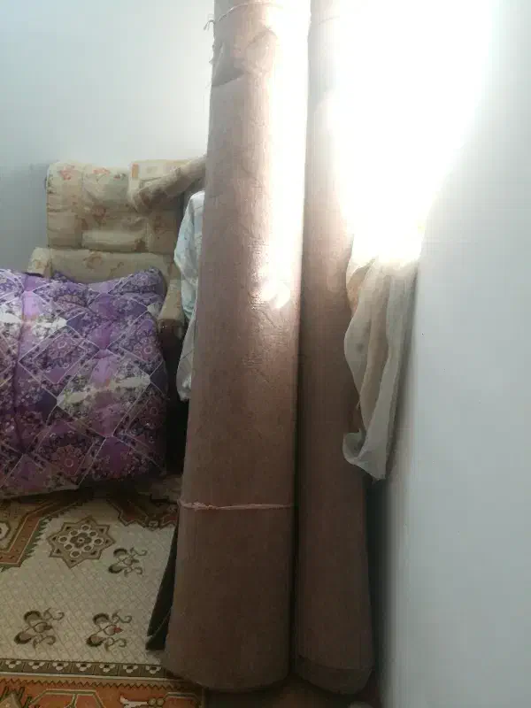 موکت|موکت|آمل, |دیوار